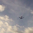 Picture for song ''I Will Fly' / W Darci Strutt' by artist 'Nadia Cripps'