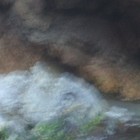 Picture for song 'Yet I love him' by artist 'Nahum'