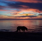 Picture for song 'Something Was Wrong' by artist 'Nashville Bound'