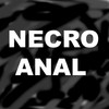 Picture for song 'Interspecies Erotica' by artist 'Necroanal'