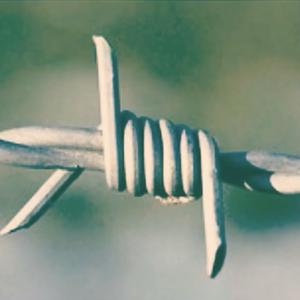 Picture for song 'Twisted' by artist 'Neil The Real Music'