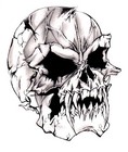 Picture for song 'Skulls' by artist 'Neo Freak'