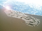 Picture for song 'MOONDANCE (Dance mix)' by artist 'New Jazz Movement'