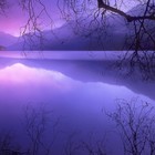 Picture for song 'Purple Everything' by artist 'NiceGuyBeats'
