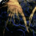 Picture for song 'Darkness Before Dawn' by artist 'Nini'