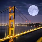 Picture for song 'MY LIFE - (Free D/L)' by artist 'NOISE KINGDOM'