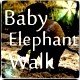 Picture for song 'Baby Elephant Walk (instrumental)' by artist 'Numi Who Creative Covers'