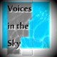 Picture for song 'Voices in the Sky (sing)' by artist 'Numi Who Creative Covers'