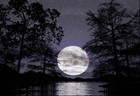 Picture for song 'Notte' by artist 'Ocero'