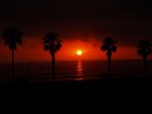 Picture for song 'look at california' by artist 'O.S.I.D.E.WAYZ ENT..'