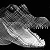 Picture for song 'Alligators!' by artist 'Painted Water'