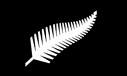 Picture for song 'Aotearoa' by artist 'pbee'