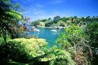Picture for song 'Riverside' by artist 'pbee'