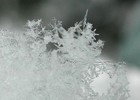 Picture for song 'Copos de Nieve' by artist 'Pepe Acevedo'