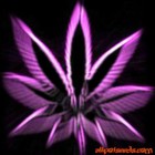 Picture for song 'Where Da Weed At' by artist 'PeraSyte'