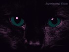 Picture for song 'Experimental Vision -Lorde Inspired- *Free DL!*' by artist 'Pestrator Productions'