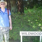 Picture for song 'wild wood' by artist 'Peter Chapman'