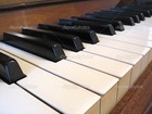 Picture for song 'Piano Opus #012 in G Major' by artist 'Peter Gardner'