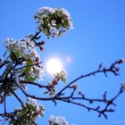 Picture for song 'Hope' by artist 'Peter Mor'