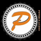 Picture for song 'Pegasus' by artist 'Peter P Audio'