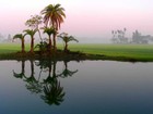 Picture for song 'Asia' by artist 'peter thorn'