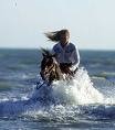 Picture for song 'Galopp' by artist 'peter thorn'