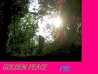 Picture for song 'GOLDEN PEACE' by artist 'phat jolly roger'