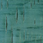 Picture for song 'the Scars of Time (1997)' by artist 'Pim van der Steen muziek'