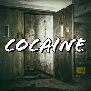 Picture for song 'COCAINE (BUY 1 GET 3 FREE)' by artist 'PINK MOLLY BEATZ'