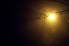 Picture for song 'Night of Shadows' by artist 'Plankis'