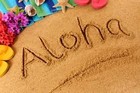 Picture for song '*REGGAE* Aloha (Free D\L)' by artist 'PLATINUM SELLERS BEATS'