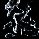 Picture for song 'oks scream wood' by artist 'poa3'