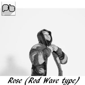 Picture for song 'ROSE / ROD WAVE TYPE BEAT / 151 bpm / D minor' by artist 'POFINSKY'