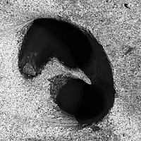 Picture for song 'The Event' by artist 'Pre Polar'