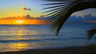 Picture for song 'Paradise Beat' by artist 'primacyproduction'