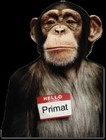 Picture for song 'Y'a pas de mal a se faire plaisire' by artist 'Primitive'