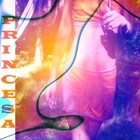 Picture for song 'PRINCESA-prendanse mx2' by artist 'PRINCESA x Max'