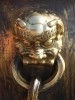 Picture for song 'prod 150' by artist 'prod 131'