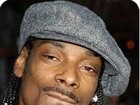 Picture for song 'SNOOP DOGG TYPE BEAT' by artist 'Producer Marcus Gray'