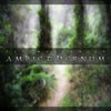 Picture for song 'Ambiethernum 2' by artist 'PSICODREAMICS'