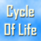 Picture for song 'Cycle Of Life' by artist 'Pulse X'