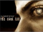 Picture for song 'The Dark Eye (Original Mix)' by artist 'PunjabITrancer'