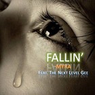 Picture for song 'Fallen - Myra Mo feat. M.O.B. of the Next Level Ge' by artist 'Radikal Rhymes'