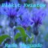 Picture for song 'Blekit Kwiatow (Demo)' by artist 'Rado Negundo'