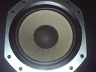 Picture for song 'RAPTORI - Rap u Krv' by artist 'raptori'