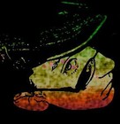 Picture for song 'Drums of War' by artist 'Rastafarian Pilgrim'