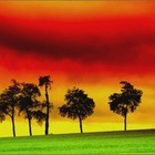 Picture for song 'LOVE REGGAE' by artist 'Rastamaniek'