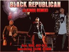 Picture for song 'Black Republican (3 Kings Remix) ' by artist 'Rayne Storm'