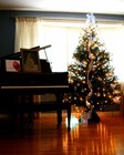Picture for song 'Holly Jolly Christmas' by artist 'Red Miller'