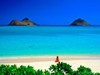 Picture for song 'HAWAIIAN MEDLEY - with Rex on Hawaiian Guitar' by artist 'Rex Reynolds'